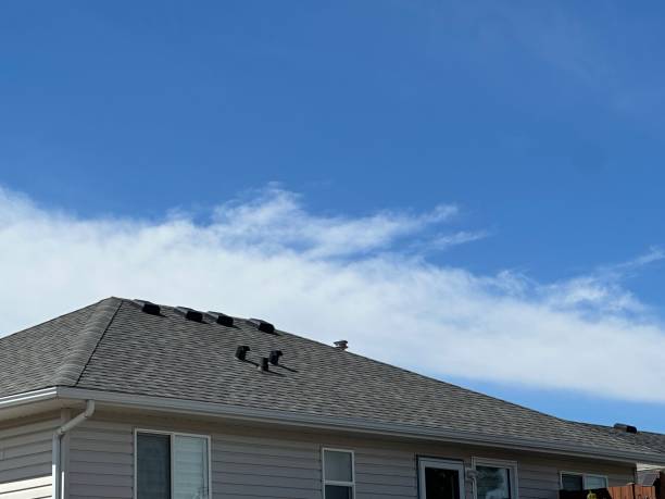 Best Cold Roofs  in Eagan, MN